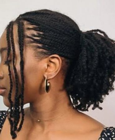 Braided Hairstyle Kinky Twist 370x450